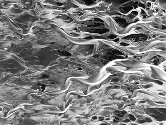 Volcanic Rivers Volcanic Rivers