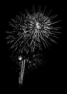 Dandelions Dandelions