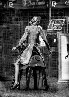 Dressage Queen Dressage Queen