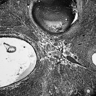 Invisible World #1 Invisible World #1