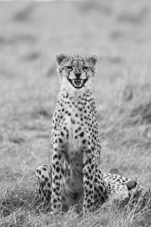 Smile, You're on Candid Camera Smile, You're on Candid Camera