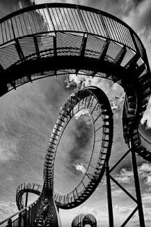  Tiger and Turtle 03