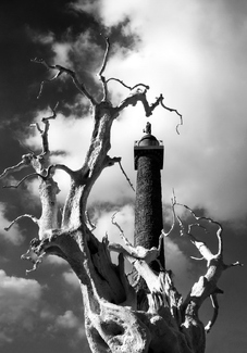 Imperor's Way Imperor's Way