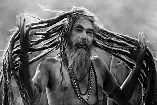 Hairy Hermit Hairy Hermit