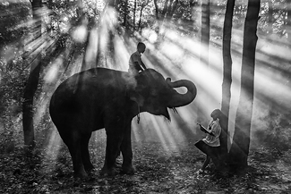 Way to school Way to school