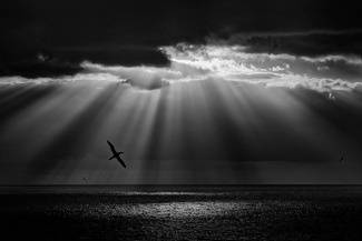 into the storm into the storm