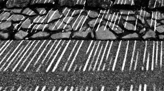 Shadow Fence Shadow Fence