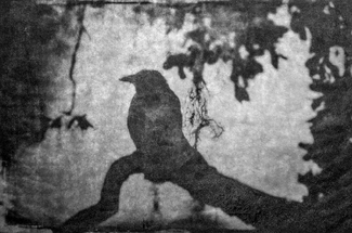 Thoughts of Silence Thoughts of Silence