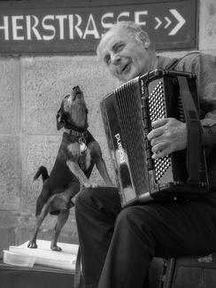 The Musicians The Musicians