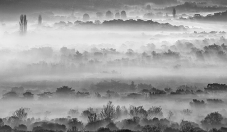 Echoes of the Forest Echoes of the Forest