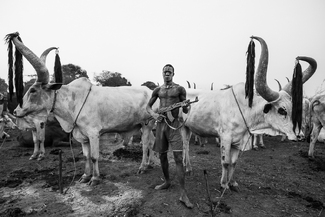 Mundari Man With Rifle