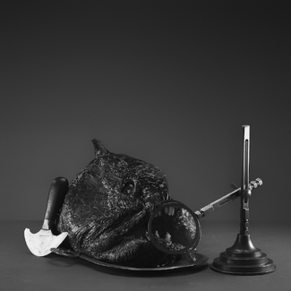Fish Utopia, Trophy on The Tray Fish Utopia, Trophy on The Tray