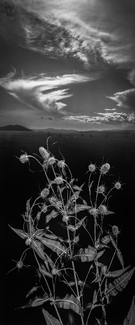 Untitled #2 Untitled #2