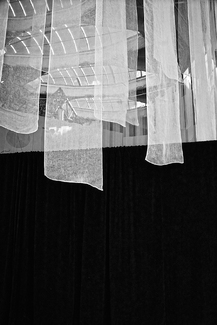 Black & White Black & White