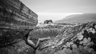 THE PERFECT COMPOSITION THE PERFECT COMPOSITION