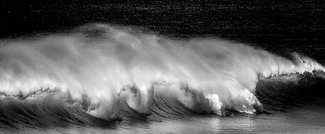 the Wave (2) the Wave (2)