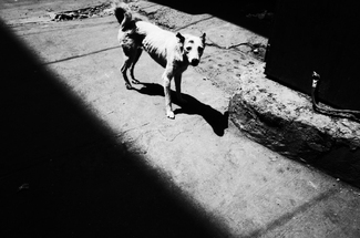From the Series Uninterrupted Dreams From the Series Uninterrupted Dreams
