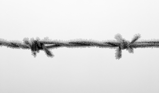 Never again Never again