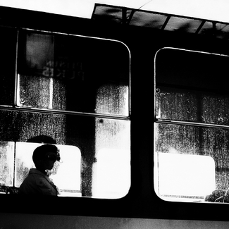 Centraltirgus Centraltirgus