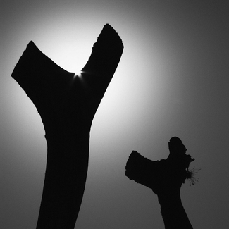 A Glimpse of Hope A Glimpse of Hope