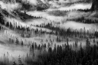 River of Mist River of Mist