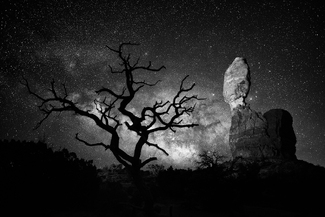 The Sacred Night The Sacred Night
