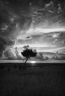Masai Mara Landscape Masai Mara Landscape