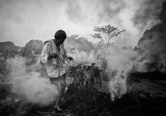 Sankranthi Sankranthi