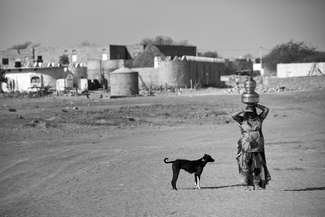 Lady with a dog Lady with a dog