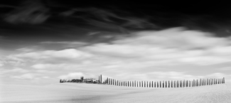 Cipressi e nuvole Cipressi e nuvole