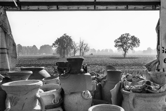 On the Padana Inferiore road On the Padana Inferiore road