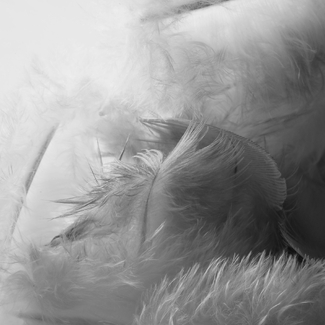 Aftermath - Without Much Ado Aftermath - Without Much Ado