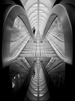 Reflective Descent Reflective Descent