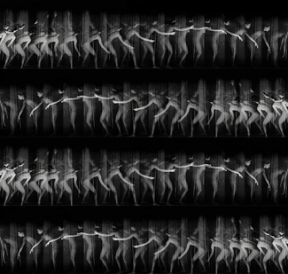 Ode to Muybridge Multiple Ode to Muybridge Multiple