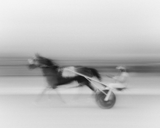 Harness Racer Harness Racer