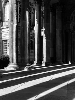 Columns in the Here and Now Columns in the Here and Now