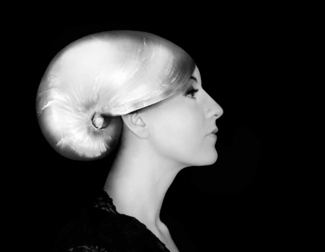 Nautilus Nautilus
