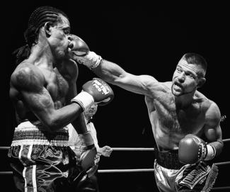 The Boxer The Boxer
