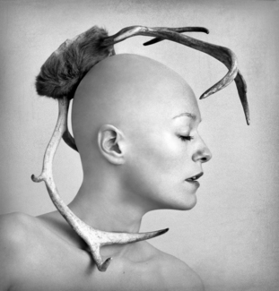 Antlers Antlers