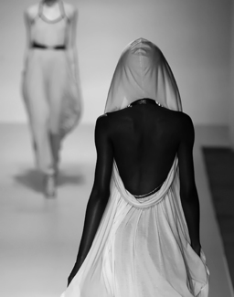 Cat Walk Cat Walk