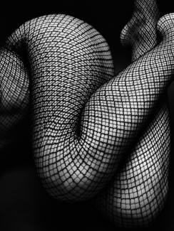 legs legs