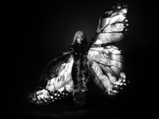 Butterfly Coming Down to Rescue Me Butterfly Coming Down to Rescue Me