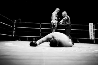 The Knockout The Knockout
