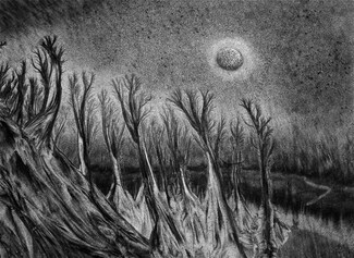 Forest in Moonlight Forest in Moonlight