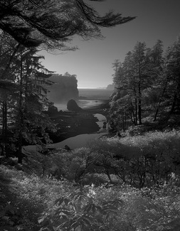 Ruby Beach Ruby Beach