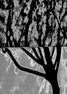 Shade of Tree (1) Shade of Tree (1)