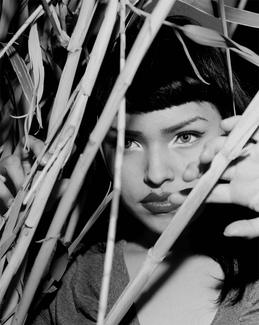 Through the Bamboo LV Through the Bamboo LV