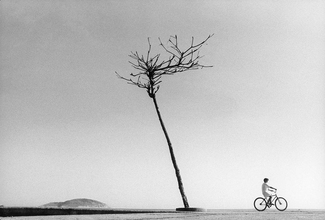 Bike Bike