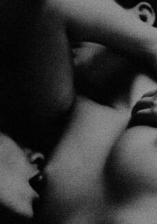 Ingres, Detail Ingres, Detail