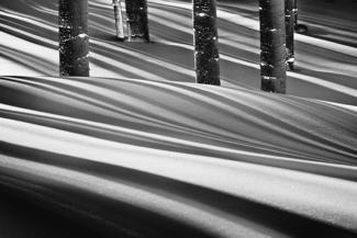 Winter Shadows Winter Shadows